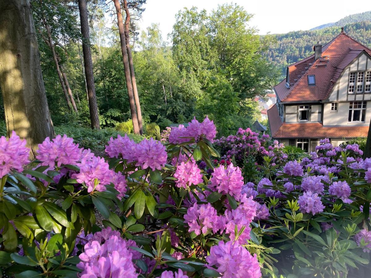 Villa Sonnenburg Bad Schandau Exterior foto