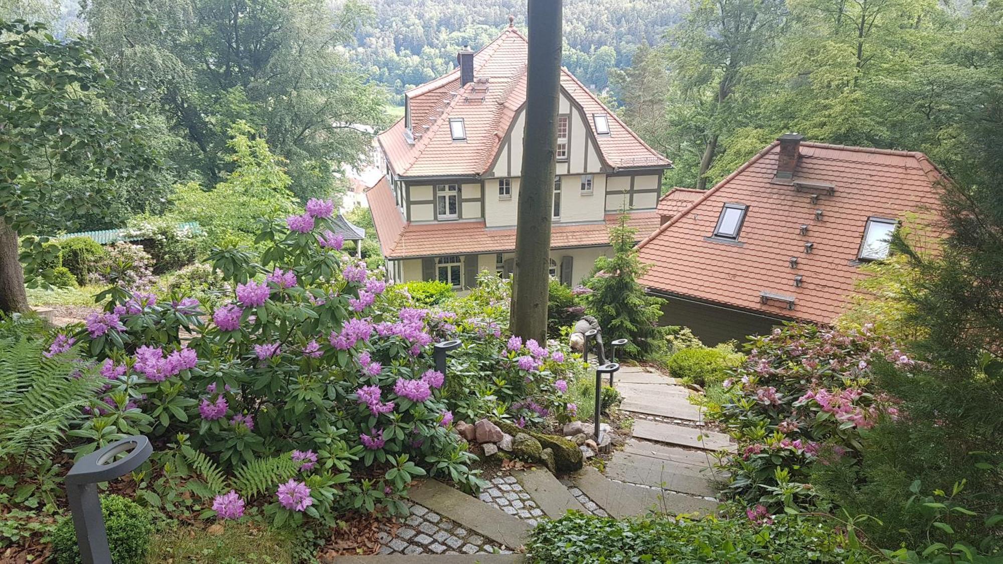 Villa Sonnenburg Bad Schandau Exterior foto